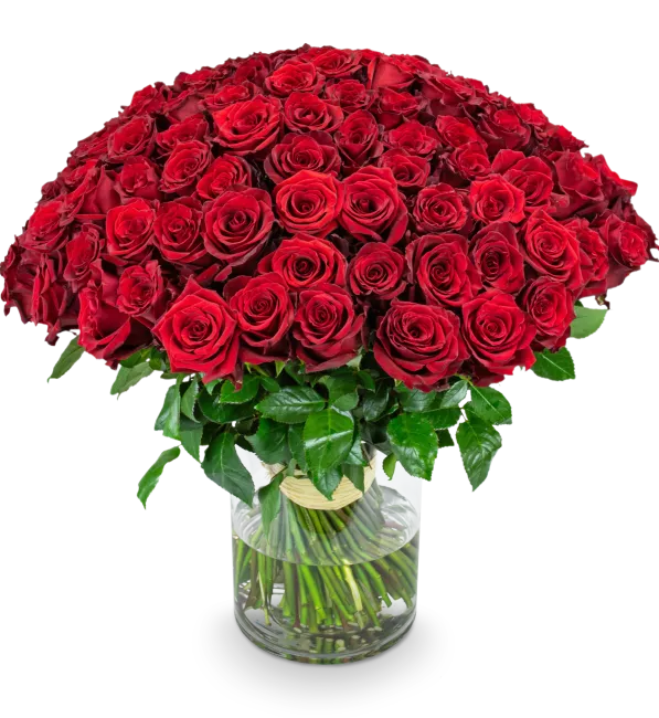 MERCEDES_100_IMG_9290_eRGB kopie.png